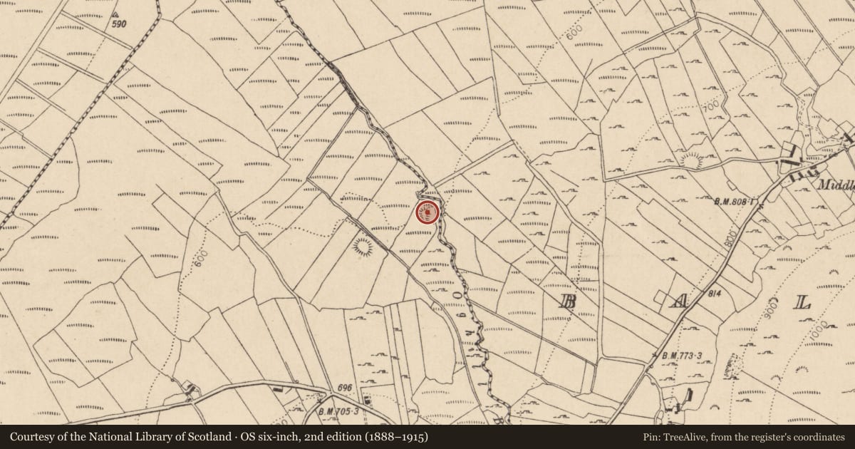Ordnance Survey six-inch map, 2nd edition (1888–1915) covering the location of Enclosure, Ballyknockan, County Wicklow, with a pin at the register's coordinates