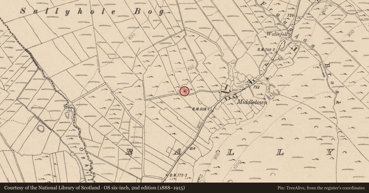 Ordnance Survey six-inch map, 2nd edition (1888–1915) covering the location of Ringfort - rath, Ballynastockan, County Wicklow, with a pin at the register's coordinates