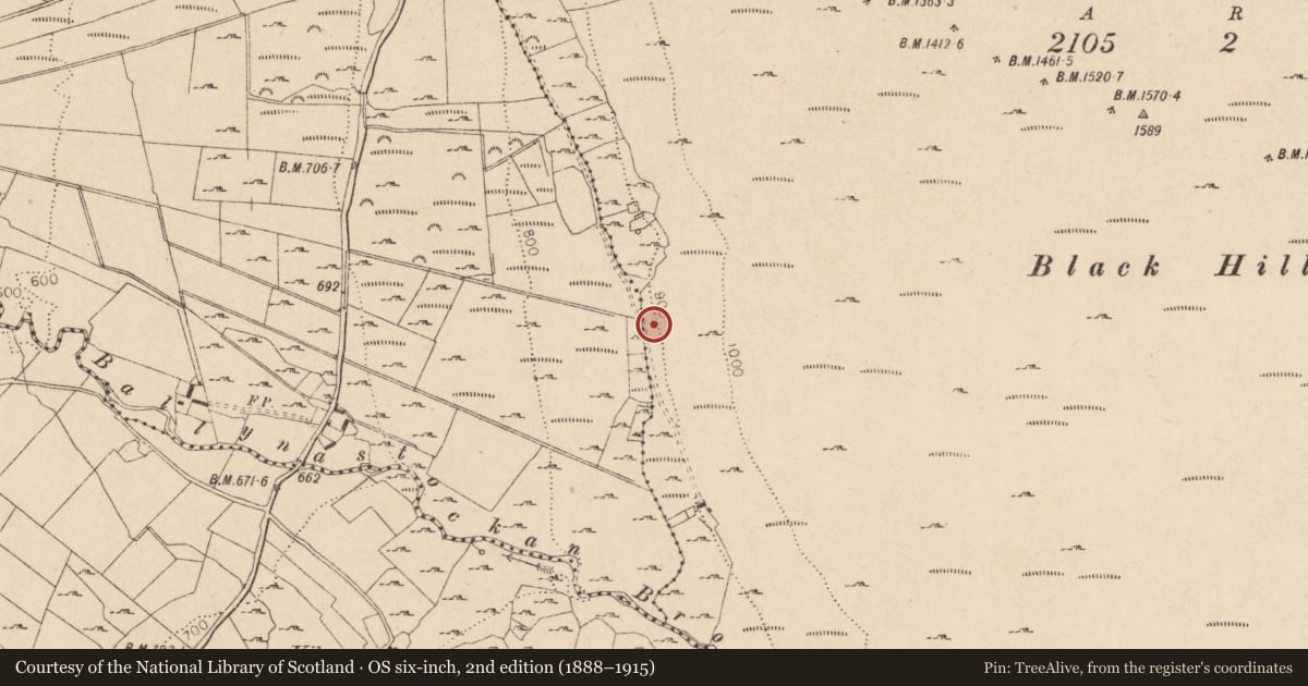 Ordnance Survey six-inch map, 2nd edition (1888–1915) covering the location of Settlement deserted - medieval, Kilbeg, County Wicklow, with a pin at the register's coordinates