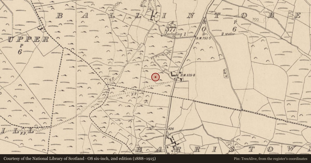 Ordnance Survey six-inch map, 2nd edition (1888–1915) covering the location of Cross - High cross, Ballintober, County Wicklow, with a pin at the register's coordinates