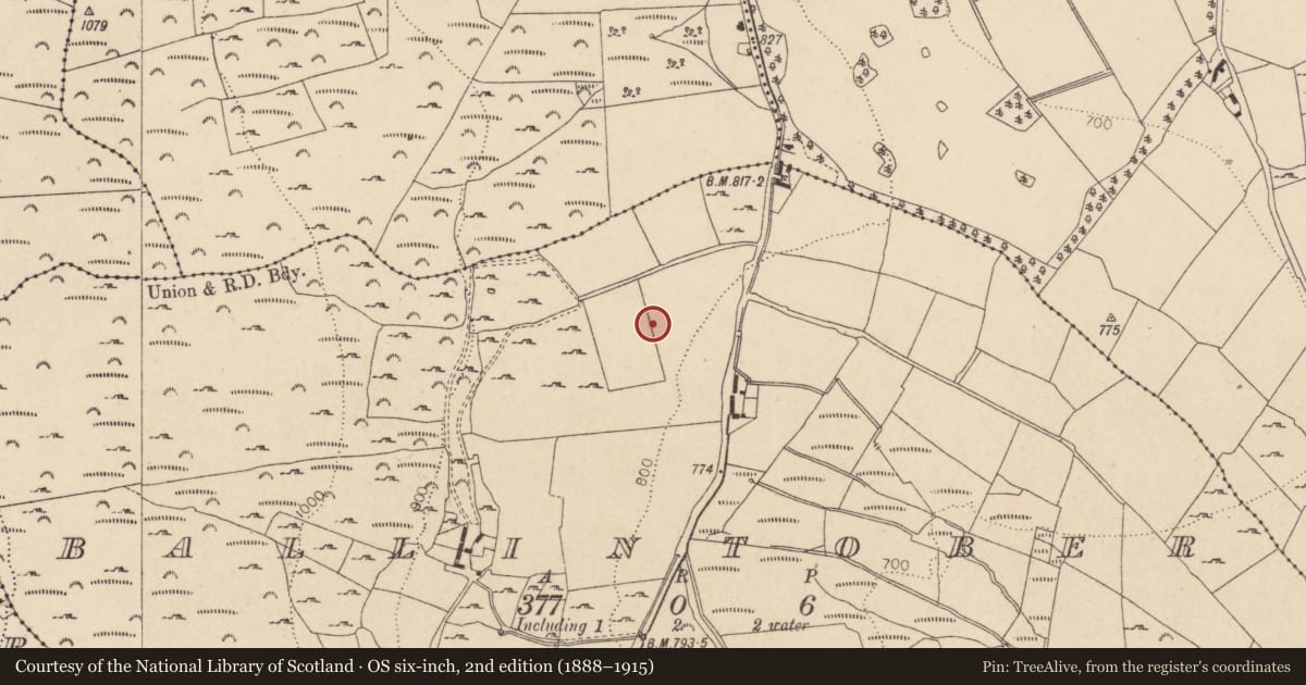 Ordnance Survey six-inch map, 2nd edition (1888–1915) covering the location of Enclosure, Ballintober, County Wicklow, with a pin at the register's coordinates
