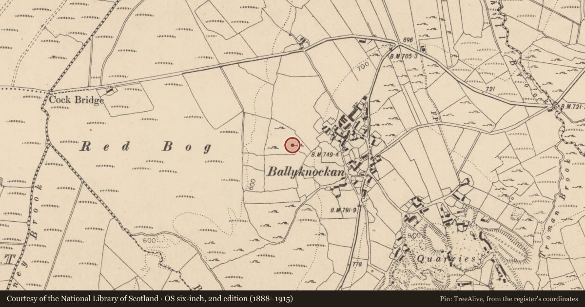 Ordnance Survey six-inch map, 2nd edition (1888–1915) covering the location of Children's burial ground, Ballyknockan, County Wicklow, with a pin at the register's coordinates