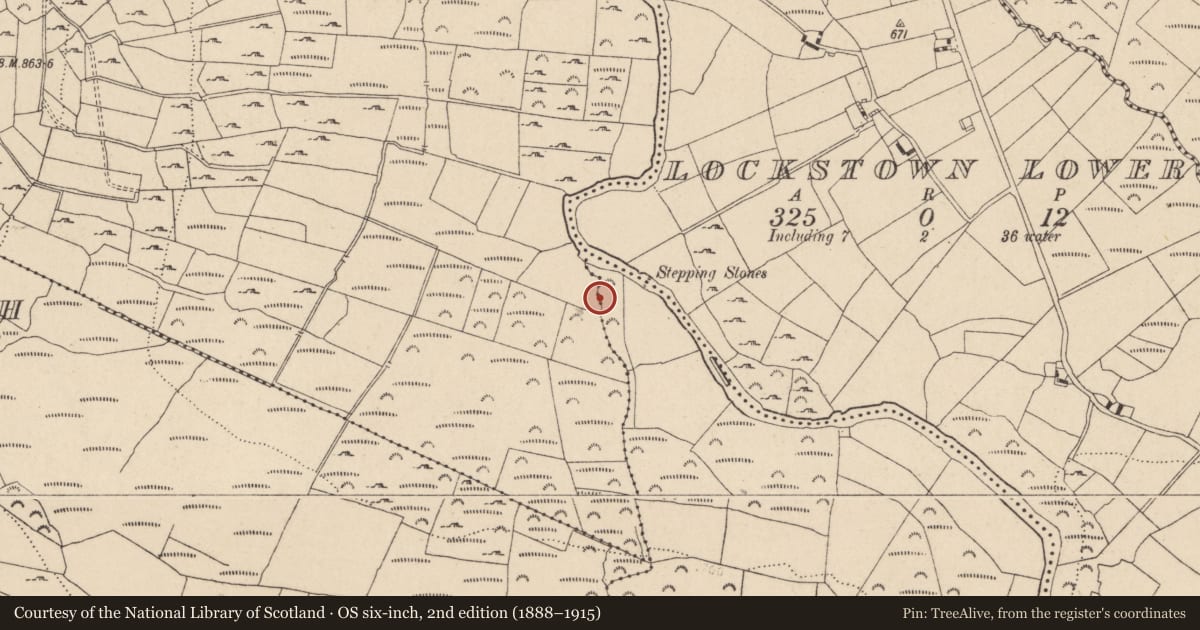 Ordnance Survey six-inch map, 2nd edition (1888–1915) covering the location of Enclosure, Walterstown, County Wicklow, with a pin at the register's coordinates