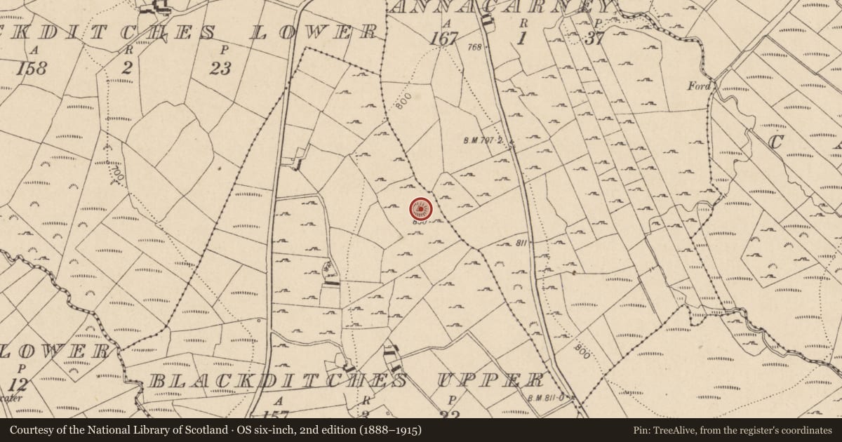 Ordnance Survey six-inch map, 2nd edition (1888–1915) covering the location of Ringfort - rath, Blackditches Upper, County Wicklow, with a pin at the register's coordinates