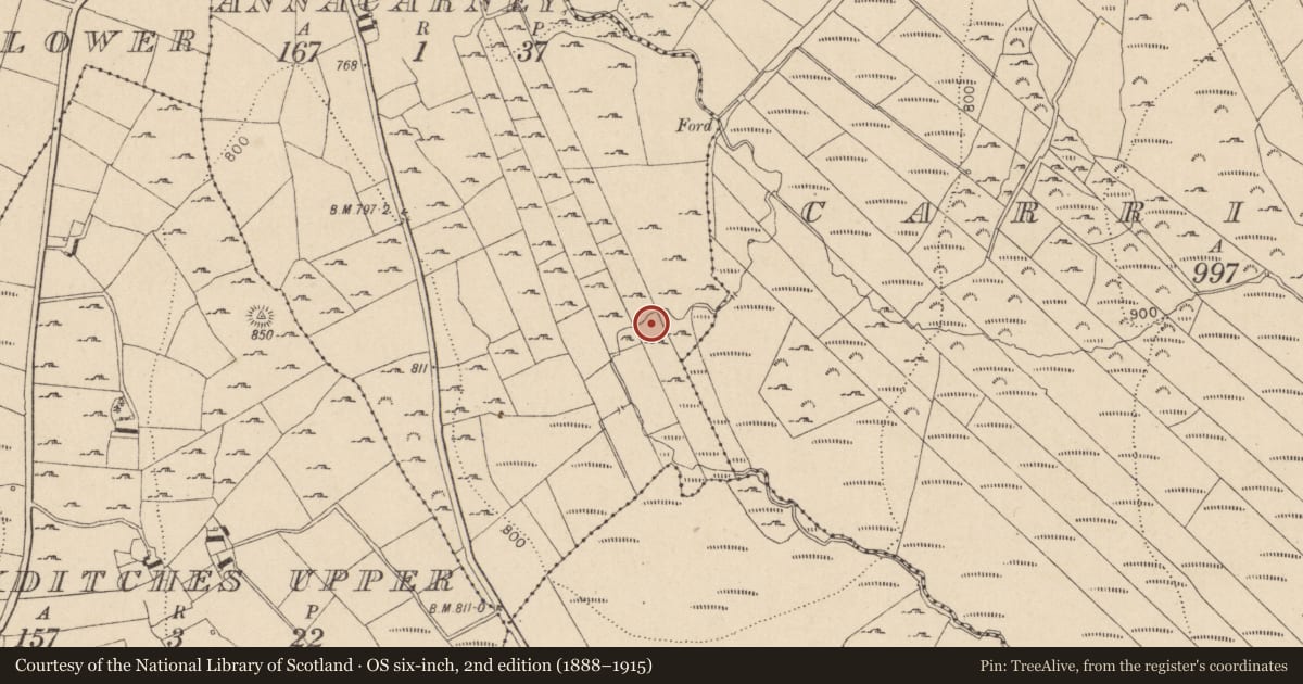 Ordnance Survey six-inch map, 2nd edition (1888–1915) covering the location of Church, Annacarney, County Wicklow, with a pin at the register's coordinates