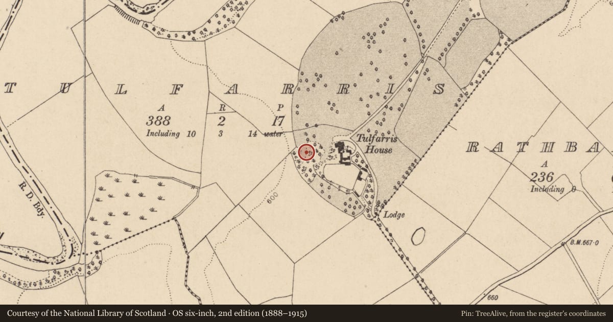 Ordnance Survey six-inch map, 2nd edition (1888–1915) covering the location of Burial, Tulfarris, County Wicklow, with a pin at the register's coordinates