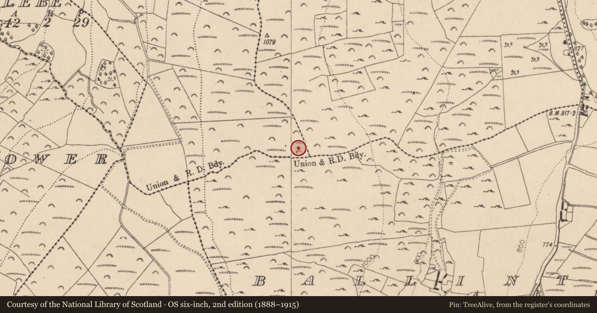 Ordnance Survey six-inch map, 2nd edition (1888–1915) covering the location of House - indeterminate date, Blakestown Upper, County Wicklow, with a pin at the register's coordinates