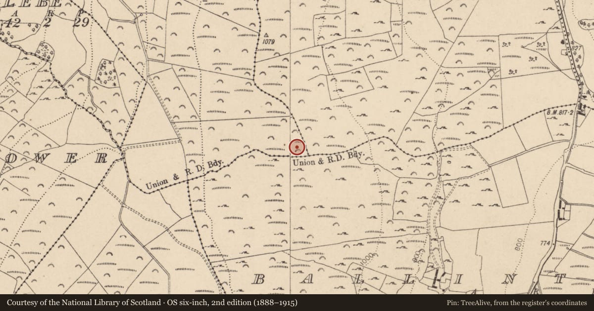 Ordnance Survey six-inch map, 2nd edition (1888–1915) covering the location of Enclosure, Blakestown Upper, County Wicklow, with a pin at the register's coordinates