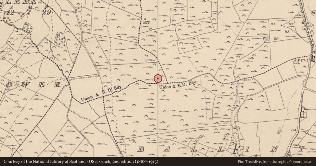 Ordnance Survey six-inch map, 2nd edition (1888–1915) covering the location of House - indeterminate date, Blakestown Upper, County Wicklow, with a pin at the register's coordinates