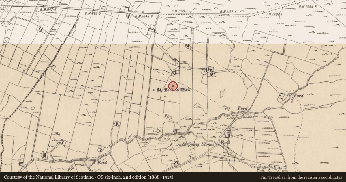 Ordnance Survey six-inch map, 2nd edition (1888–1915) covering the location of Bullaun stone, Kilbeg, County Wicklow, with a pin at the register's coordinates