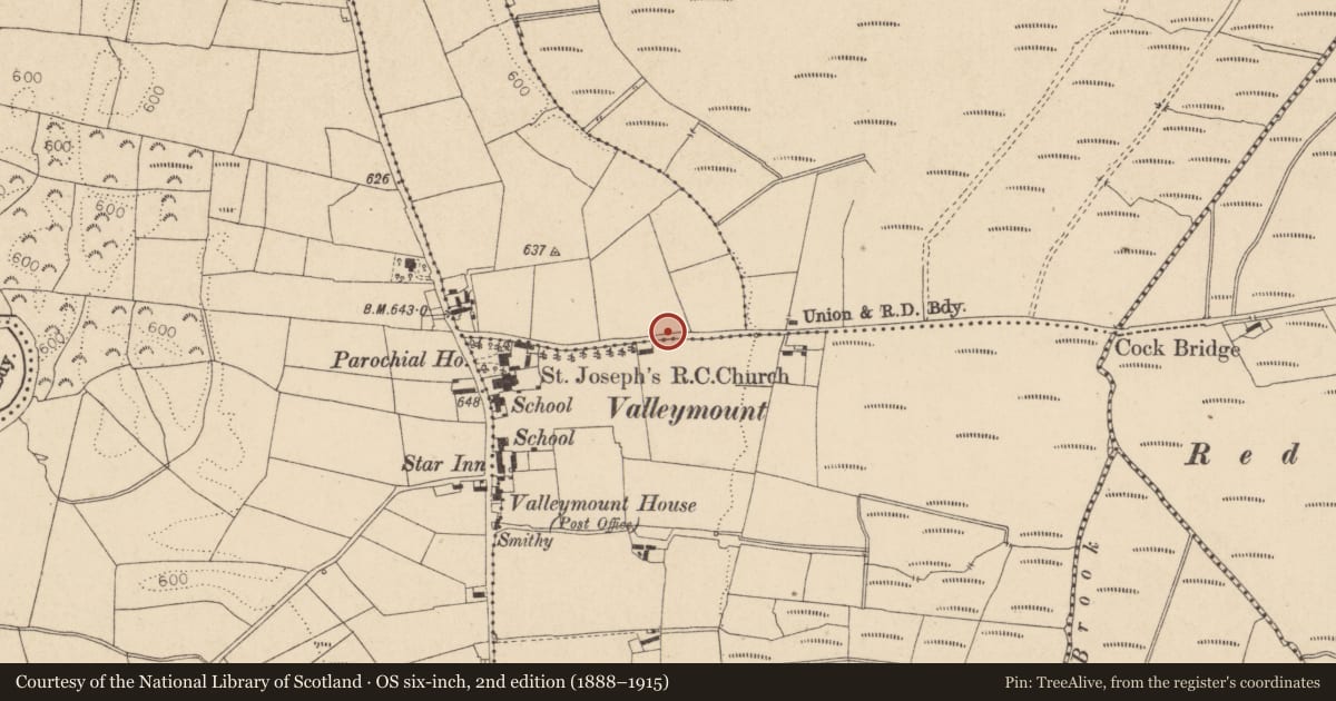 Ordnance Survey six-inch map, 2nd edition (1888–1915) covering the location of Cross-inscribed stone, Boystown Or Baltyboys Upper, County Wicklow, with a pin at the register's coordinates