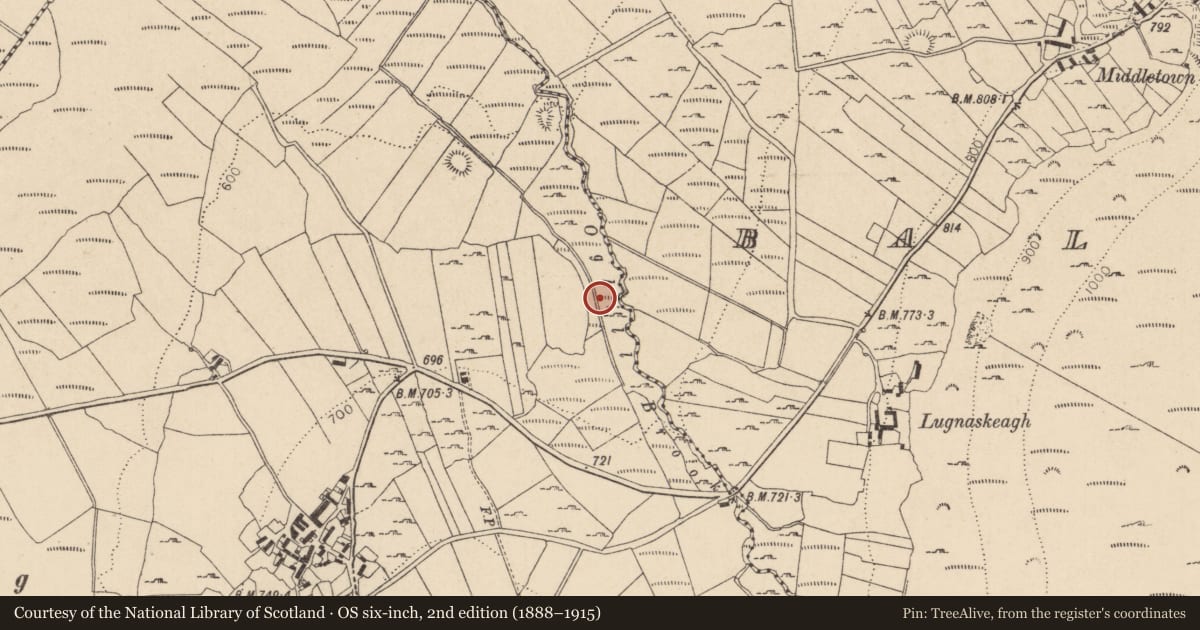 Ordnance Survey six-inch map, 2nd edition (1888–1915) covering the location of Bullaun stone, Ballyknockan, County Wicklow, with a pin at the register's coordinates