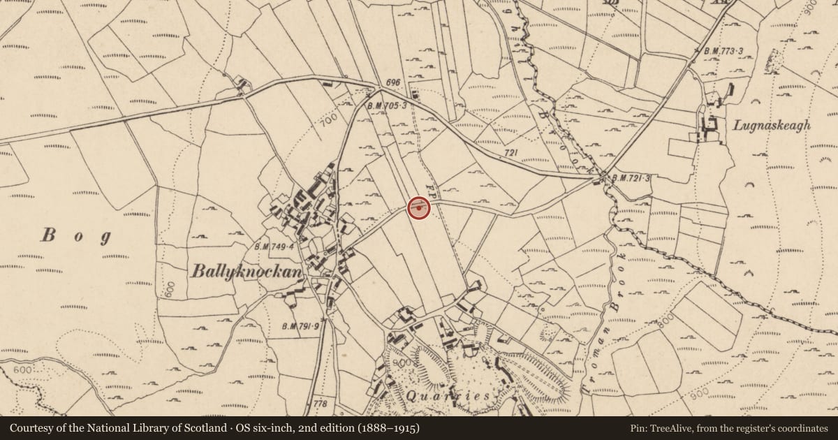 Ordnance Survey six-inch map, 2nd edition (1888–1915) covering the location of Cross-inscribed stone, Ballyknockan, County Wicklow, with a pin at the register's coordinates