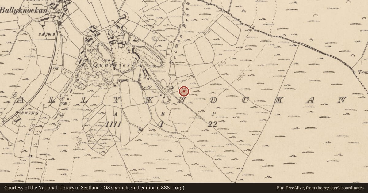 Ordnance Survey six-inch map, 2nd edition (1888–1915) covering the location of Fulacht fia, Ballyknockan, County Wicklow, with a pin at the register's coordinates