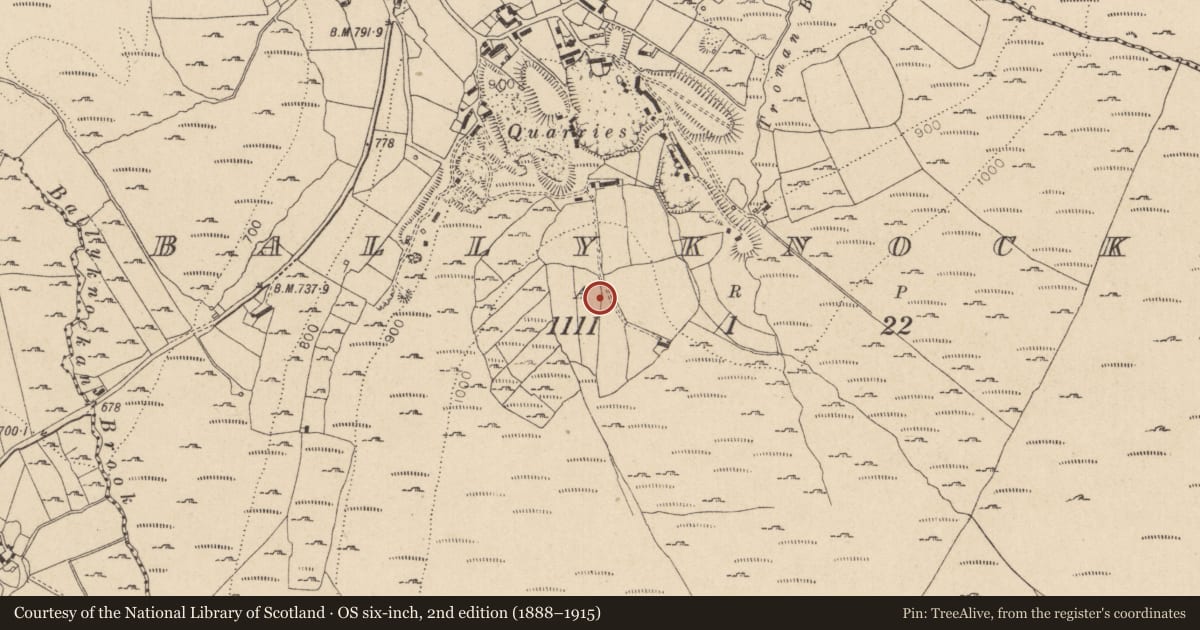Ordnance Survey six-inch map, 2nd edition (1888–1915) covering the location of Ritual site - holy well, Ballyknockan, County Wicklow, with a pin at the register's coordinates