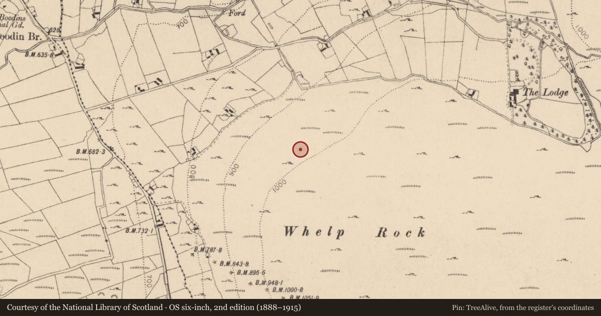 Ordnance Survey six-inch map, 2nd edition (1888–1915) covering the location of Standing stone, Kilbeg, County Wicklow, with a pin at the register's coordinates