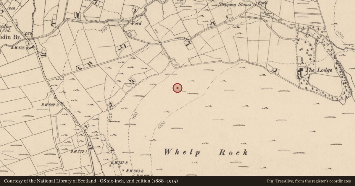 Ordnance Survey six-inch map, 2nd edition (1888–1915) covering the location of Field system, Kilbeg, County Wicklow, with a pin at the register's coordinates