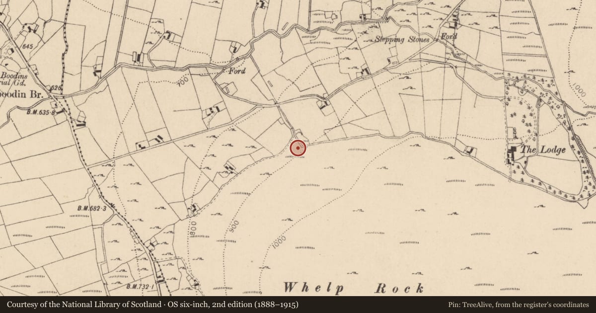 Ordnance Survey six-inch map, 2nd edition (1888–1915) covering the location of Cross-inscribed stone, Kilbeg, County Wicklow, with a pin at the register's coordinates