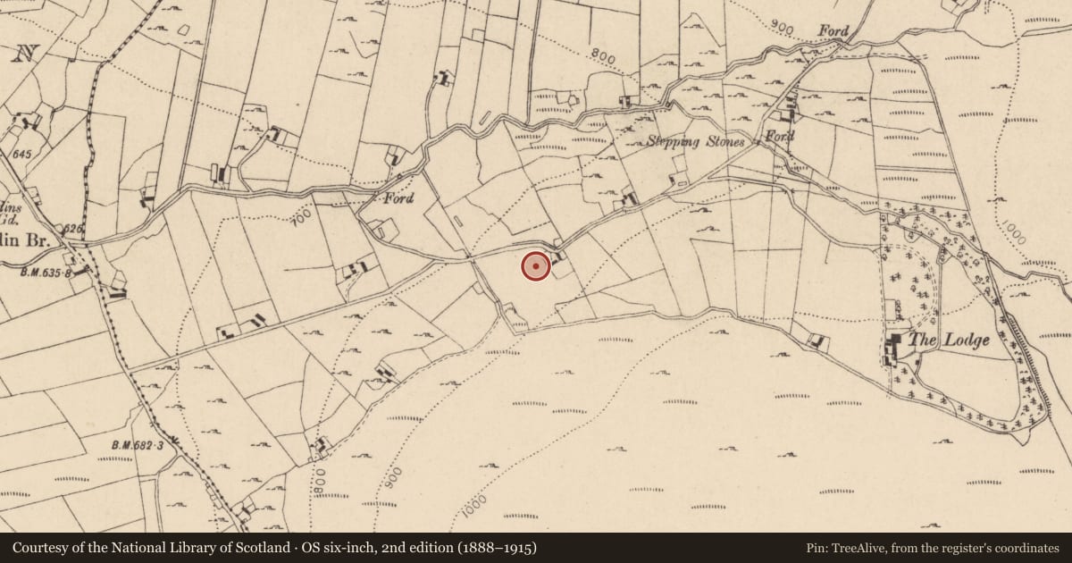 Ordnance Survey six-inch map, 2nd edition (1888–1915) covering the location of Cross, Kilbeg, County Wicklow, with a pin at the register's coordinates