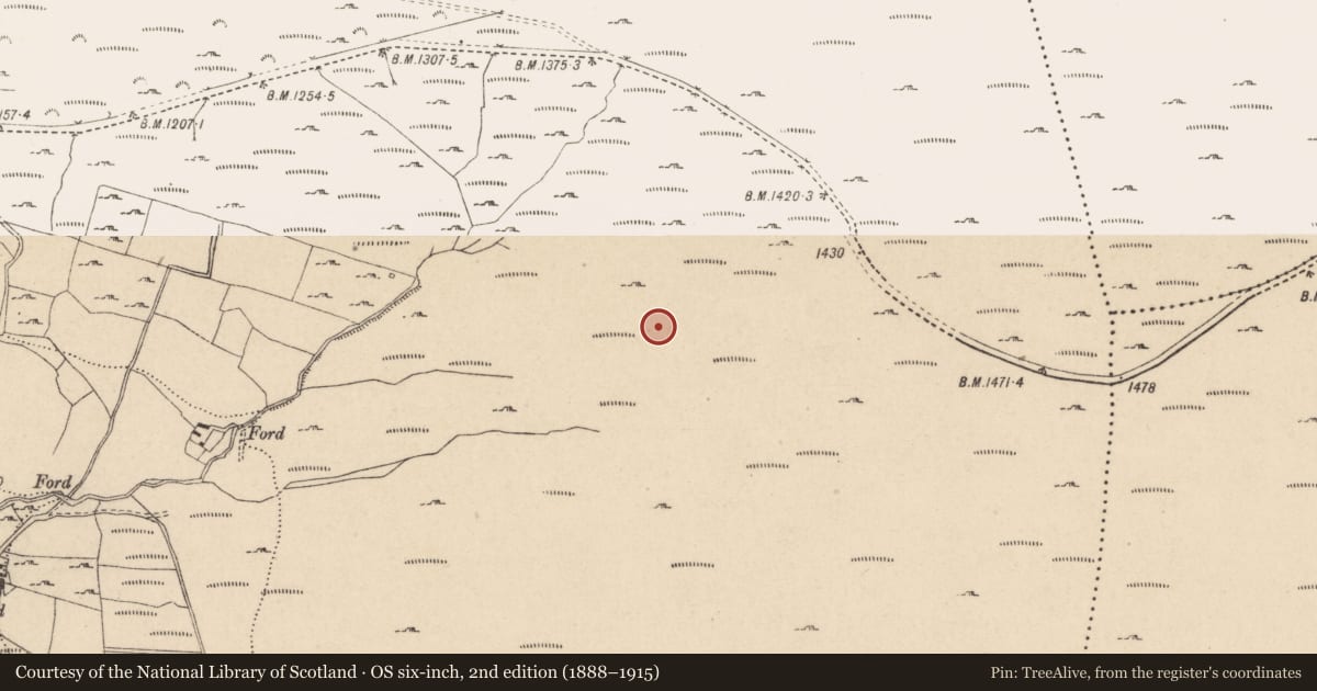 Ordnance Survey six-inch map, 2nd edition (1888–1915) covering the location of Hut site, Kilbeg, County Wicklow, with a pin at the register's coordinates