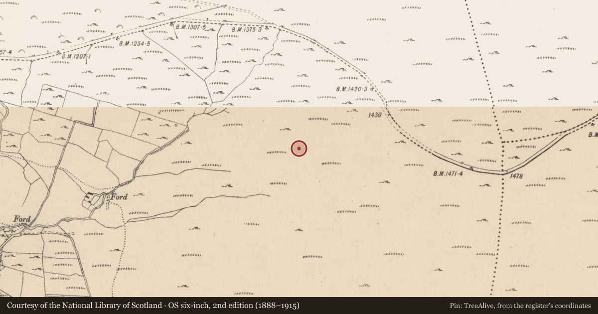 Ordnance Survey six-inch map, 2nd edition (1888–1915) covering the location of Hut site, Kilbeg, County Wicklow, with a pin at the register's coordinates