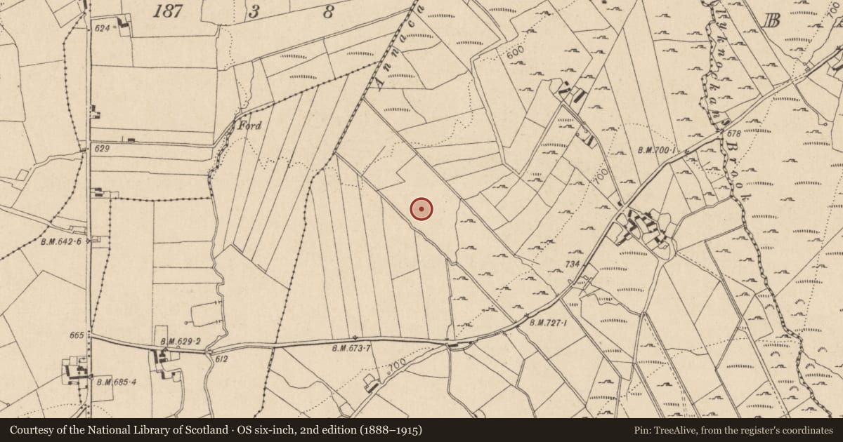 Ordnance Survey six-inch map, 2nd edition (1888–1915) covering the location of Megalithic tomb - wedge tomb, Carrigacurra, County Wicklow, with a pin at the register's coordinates