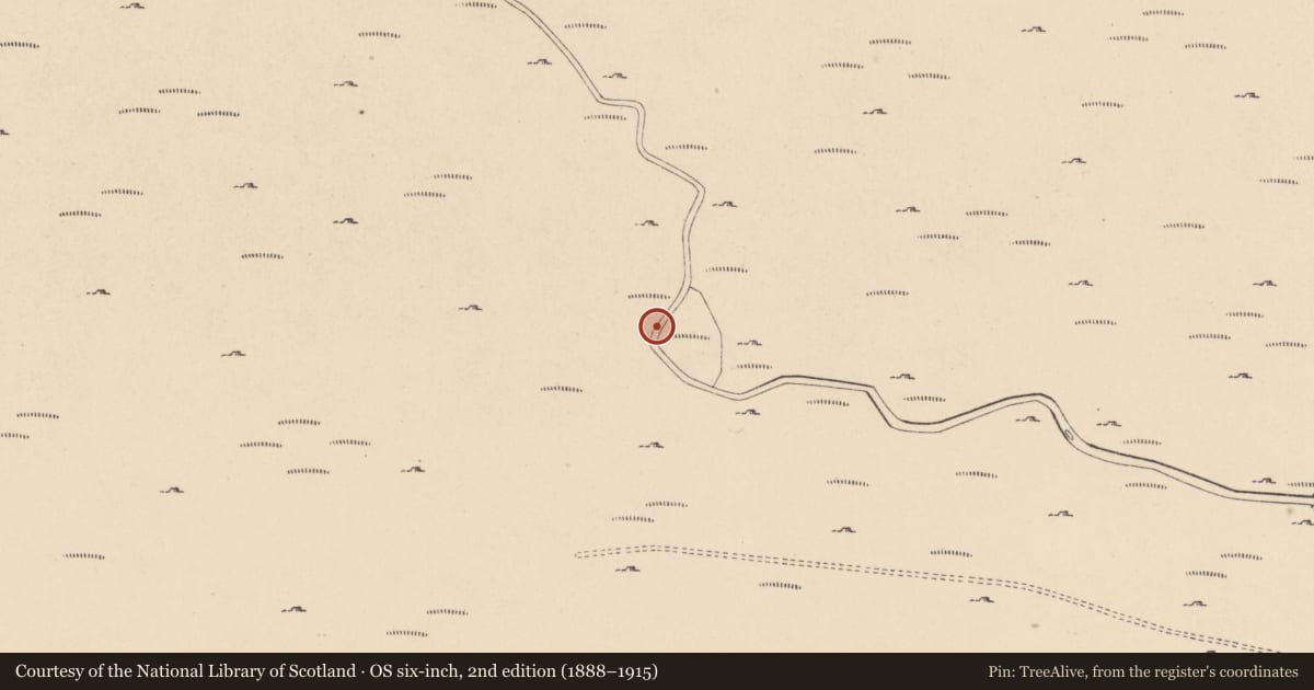 Ordnance Survey six-inch map, 2nd edition (1888–1915) covering the location of Booley hut, Cloghoge, County Wicklow, with a pin at the register's coordinates