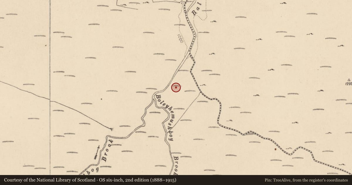 Ordnance Survey six-inch map, 2nd edition (1888–1915) covering the location of Standing stone - pair, Ballynultagh, County Wicklow, with a pin at the register's coordinates