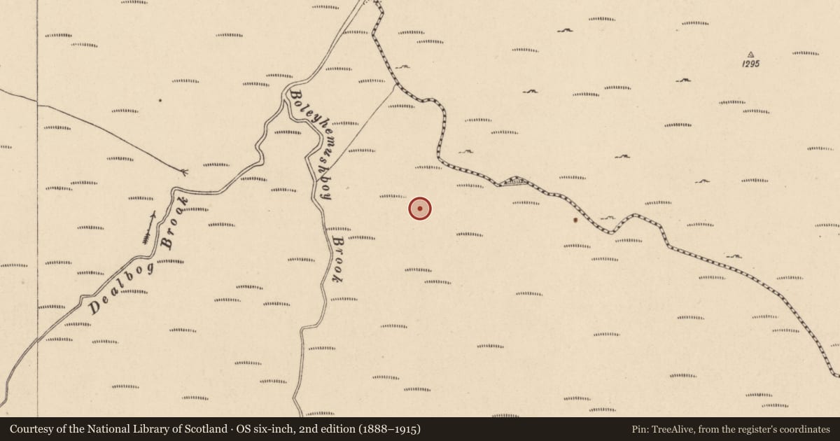 Ordnance Survey six-inch map, 2nd edition (1888–1915) covering the location of Hut site, Ballynultagh, County Wicklow, with a pin at the register's coordinates