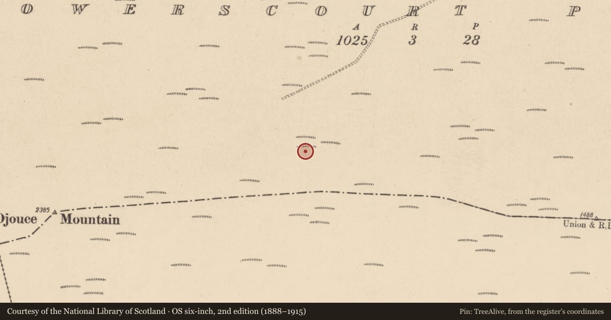 Ordnance Survey six-inch map, 2nd edition (1888–1915) covering the location of Enclosure, Powerscourt Paddock, County Wicklow, with a pin at the register's coordinates