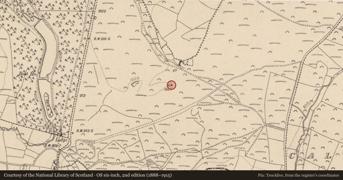 Ordnance Survey six-inch map, 2nd edition (1888–1915) covering the location of Ringfort - rath, Ballyremon Commons, County Wicklow, with a pin at the register's coordinates