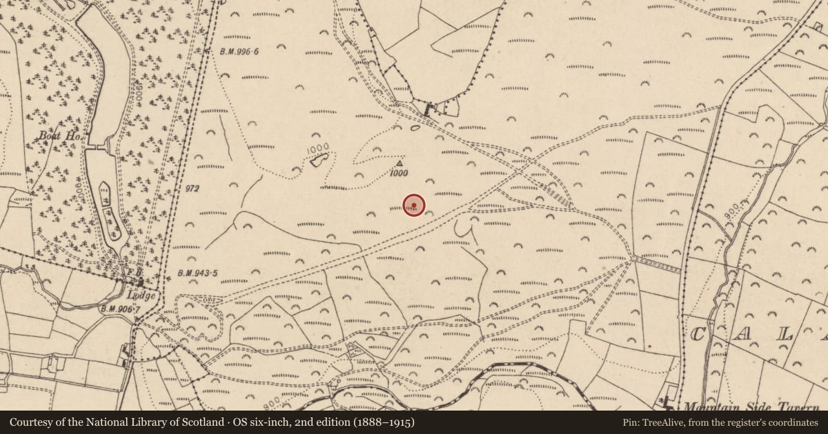 Ordnance Survey six-inch map, 2nd edition (1888–1915) covering the location of Fulacht fia, Ballyremon Commons, County Wicklow, with a pin at the register's coordinates