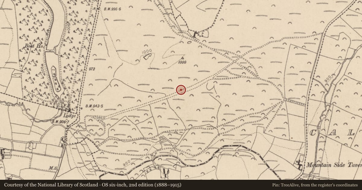 Ordnance Survey six-inch map, 2nd edition (1888–1915) covering the location of Fulacht fia, Ballyremon Commons, County Wicklow, with a pin at the register's coordinates