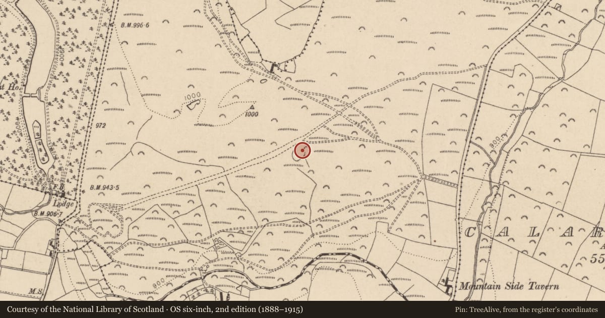 Ordnance Survey six-inch map, 2nd edition (1888–1915) covering the location of Hut site, Ballyremon Commons, County Wicklow, with a pin at the register's coordinates