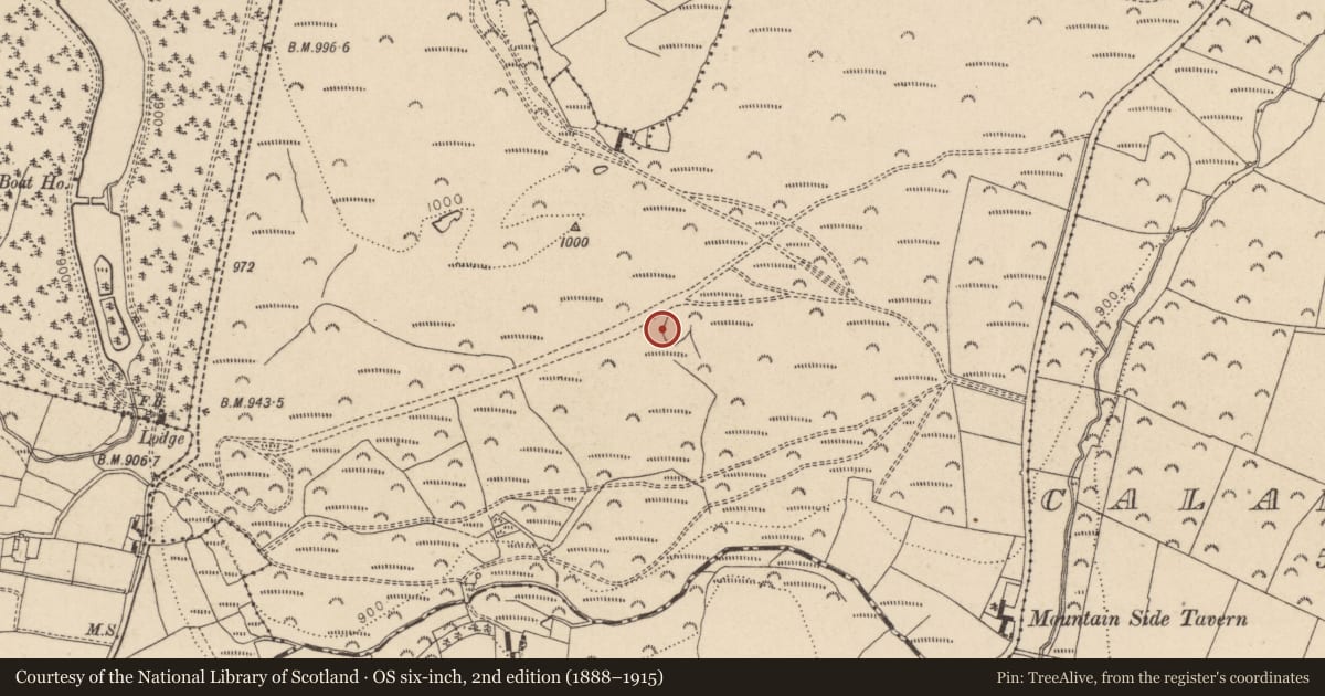 Ordnance Survey six-inch map, 2nd edition (1888–1915) covering the location of Hut site, Ballyremon Commons, County Wicklow, with a pin at the register's coordinates