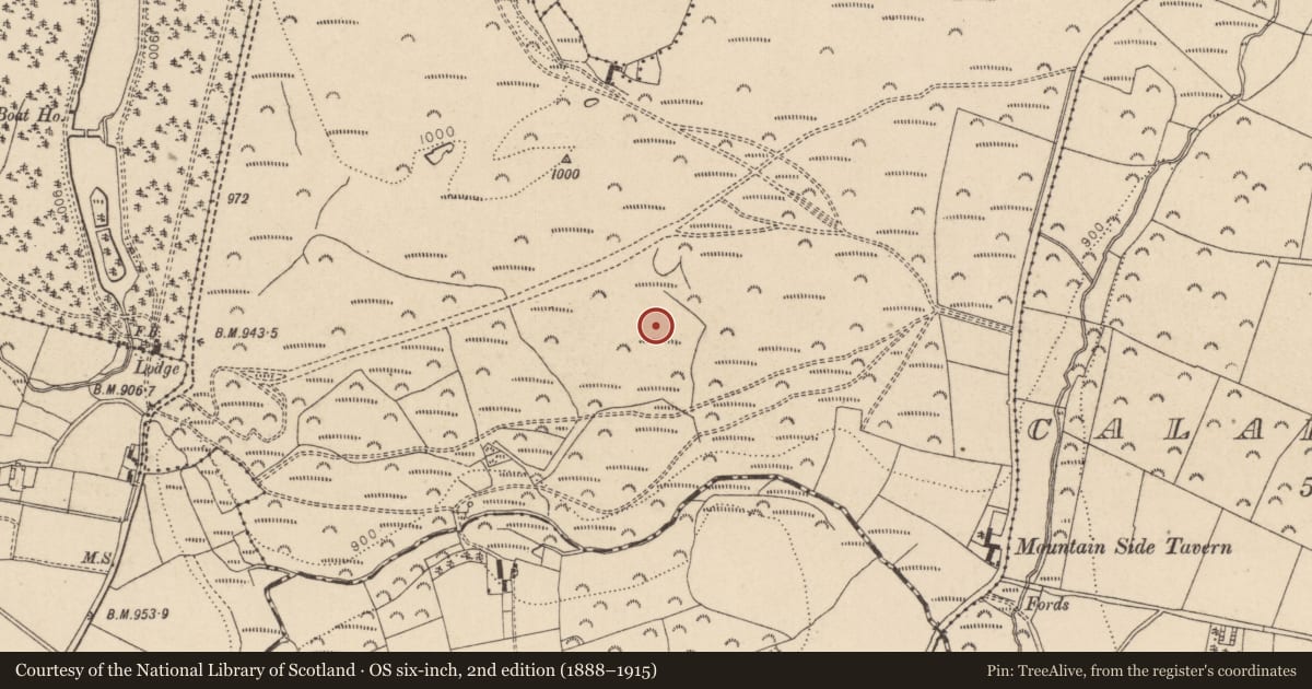 Ordnance Survey six-inch map, 2nd edition (1888–1915) covering the location of Hut site, Ballyremon Commons, County Wicklow, with a pin at the register's coordinates