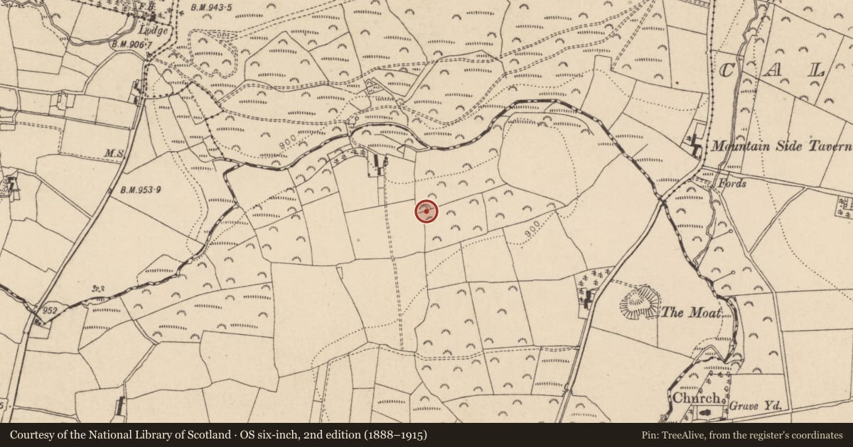Ordnance Survey six-inch map, 2nd edition (1888–1915) covering the location of Enclosure, Glasnamullen, County Wicklow, with a pin at the register's coordinates