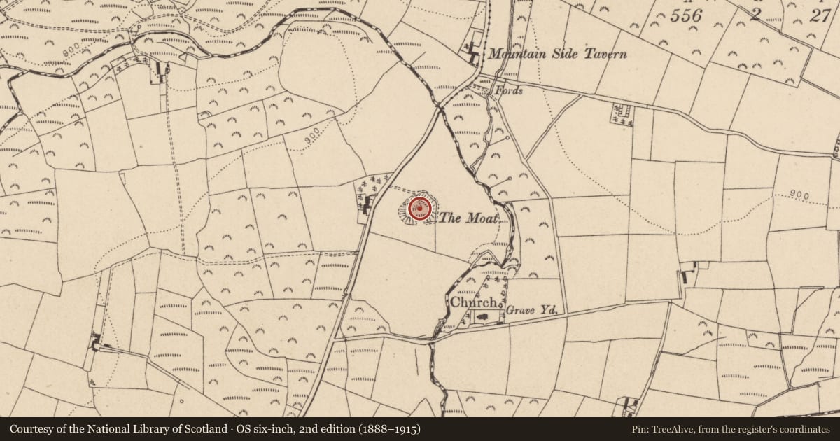 Ordnance Survey six-inch map, 2nd edition (1888–1915) covering the location of Flat cemetery, Glasnamullen, County Wicklow, with a pin at the register's coordinates