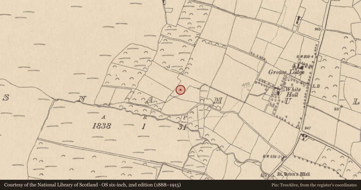 Ordnance Survey six-inch map, 2nd edition (1888–1915) covering the location of Enclosure, Glasnamullen, County Wicklow, with a pin at the register's coordinates