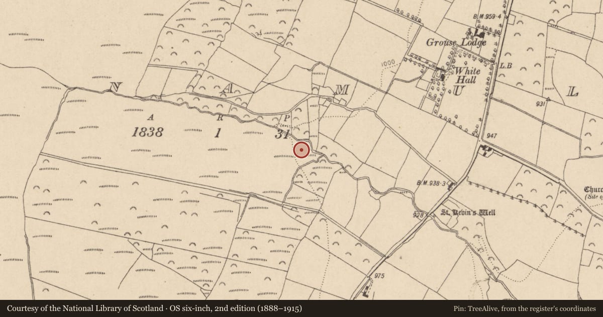 Ordnance Survey six-inch map, 2nd edition (1888–1915) covering the location of Ringfort - rath, Glasnamullen, County Wicklow, with a pin at the register's coordinates
