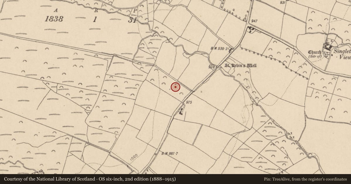 Ordnance Survey six-inch map, 2nd edition (1888–1915) covering the location of Enclosure, Glasnamullen, County Wicklow, with a pin at the register's coordinates