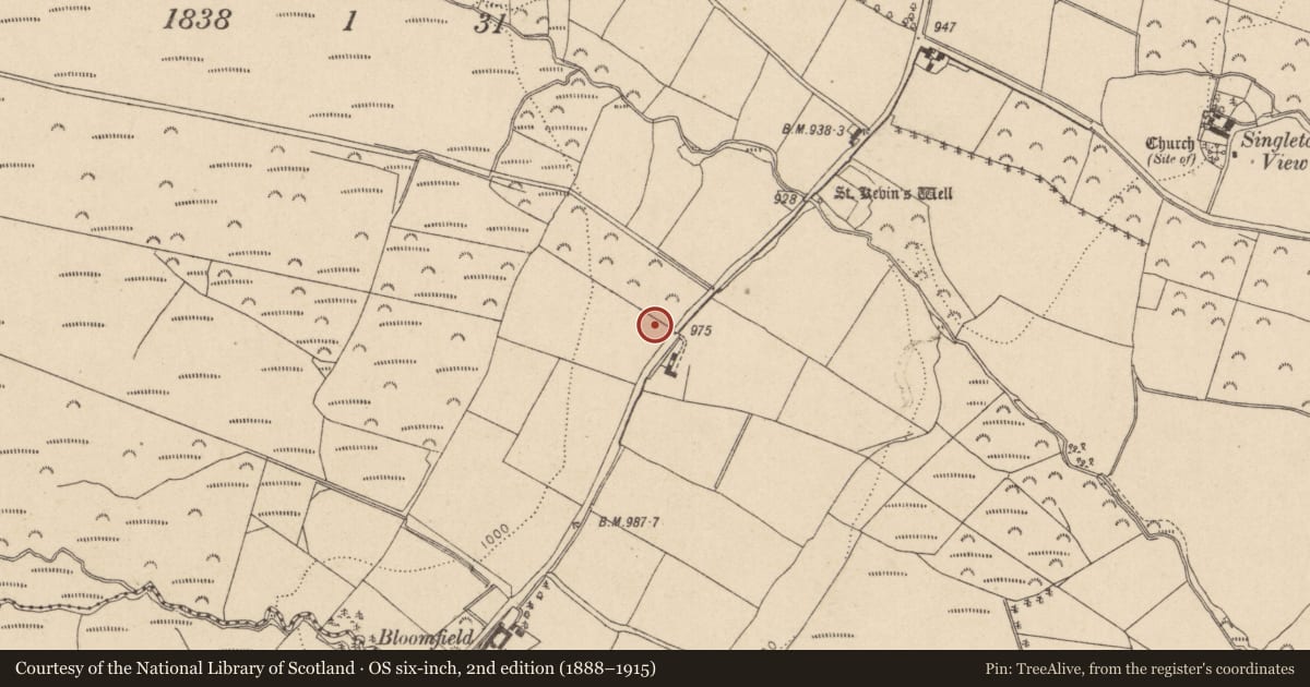 Ordnance Survey six-inch map, 2nd edition (1888–1915) covering the location of Enclosure, Glasnamullen, County Wicklow, with a pin at the register's coordinates