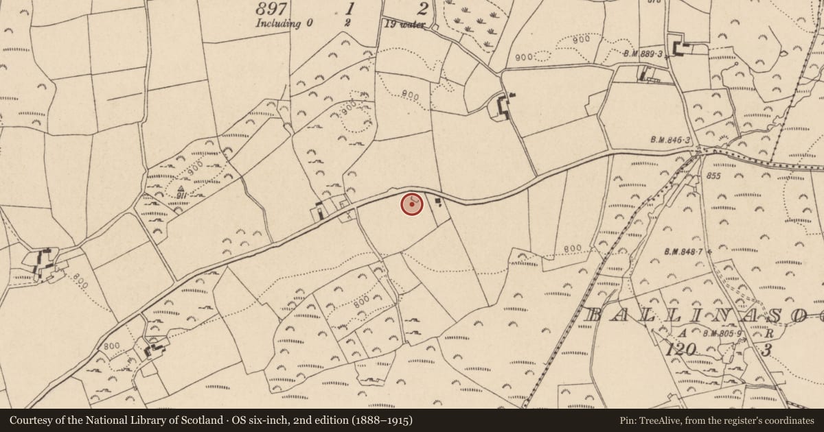 Ordnance Survey six-inch map, 2nd edition (1888–1915) covering the location of Enclosure, Carriggower, County Wicklow, with a pin at the register's coordinates