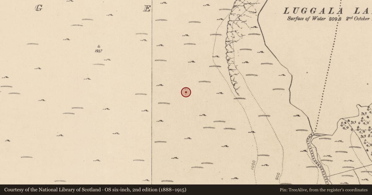 Ordnance Survey six-inch map, 2nd edition (1888–1915) covering the location of Hut site, Cloghoge, County Wicklow, with a pin at the register's coordinates
