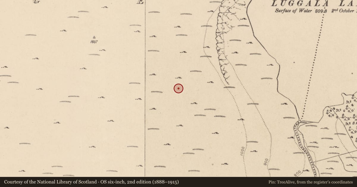 Ordnance Survey six-inch map, 2nd edition (1888–1915) covering the location of Hut site, Cloghoge, County Wicklow, with a pin at the register's coordinates