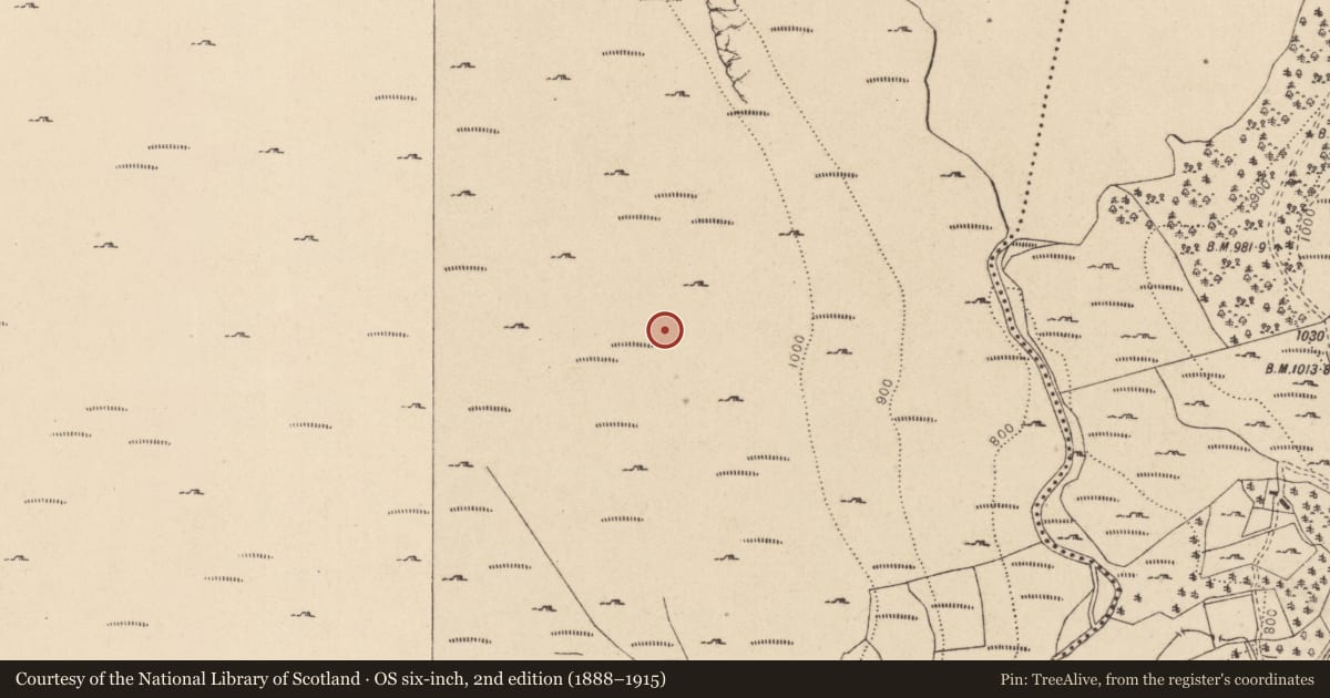 Ordnance Survey six-inch map, 2nd edition (1888–1915) covering the location of Hut site, Cloghoge, County Wicklow, with a pin at the register's coordinates