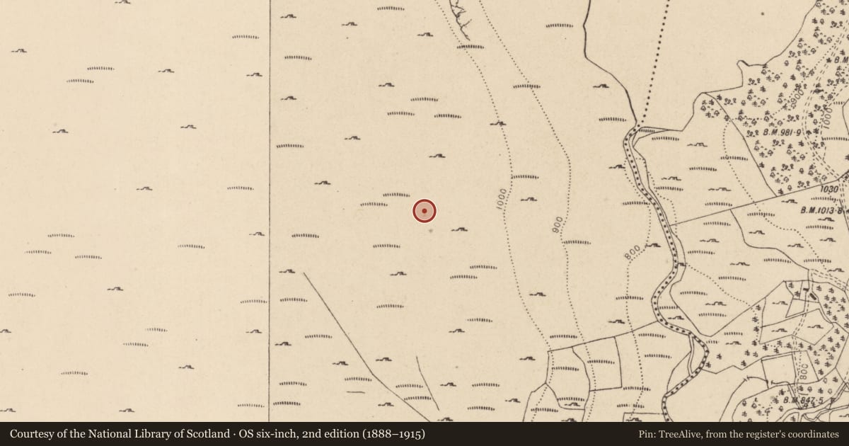 Ordnance Survey six-inch map, 2nd edition (1888–1915) covering the location of Hut site, Cloghoge, County Wicklow, with a pin at the register's coordinates