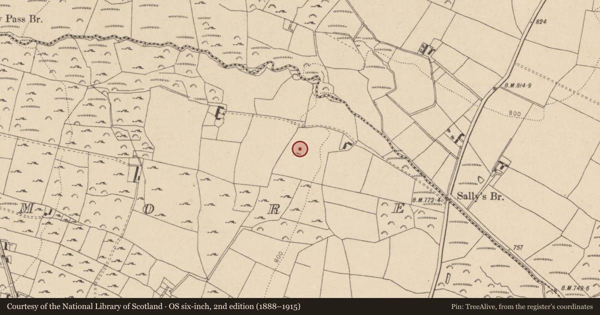 Ordnance Survey six-inch map, 2nd edition (1888–1915) covering the location of Enclosure, Sraghmore, County Wicklow, with a pin at the register's coordinates