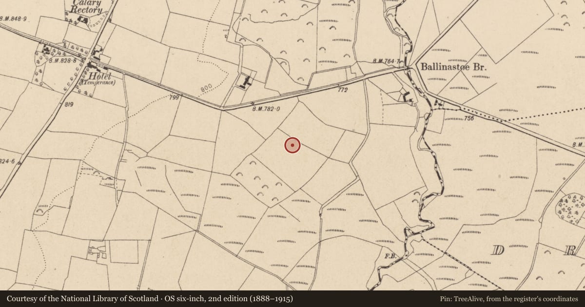 Ordnance Survey six-inch map, 2nd edition (1888–1915) covering the location of Ringfort - unclassified, Ballinastoe, County Wicklow, with a pin at the register's coordinates