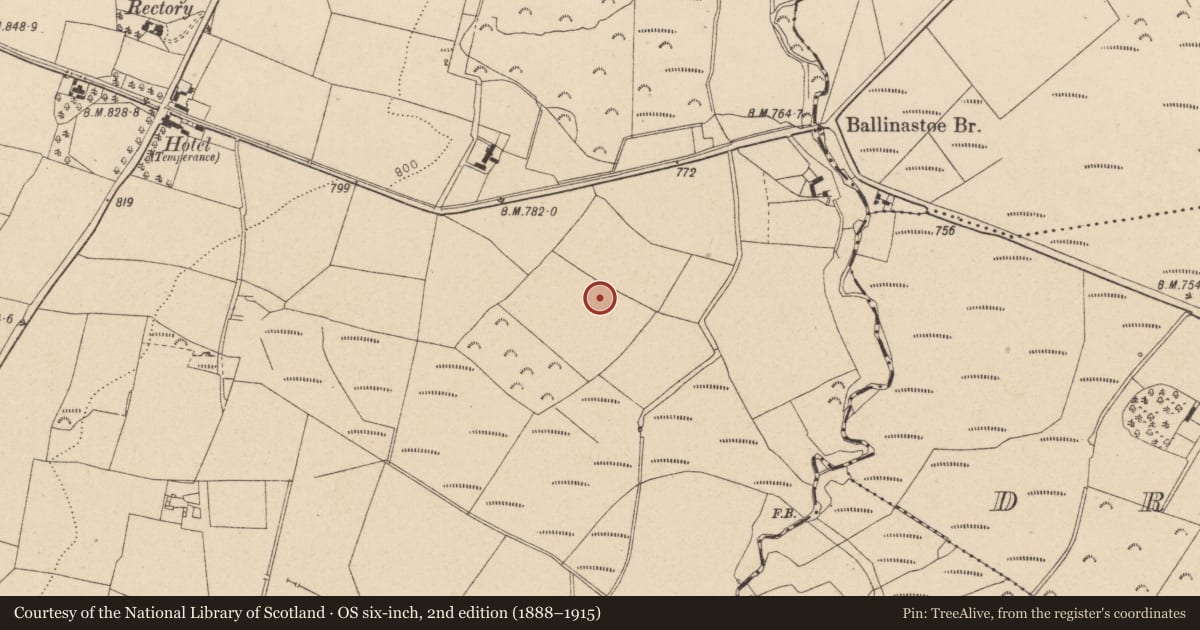 Ordnance Survey six-inch map, 2nd edition (1888–1915) covering the location of Ringfort - unclassified, Ballinastoe, County Wicklow, with a pin at the register's coordinates